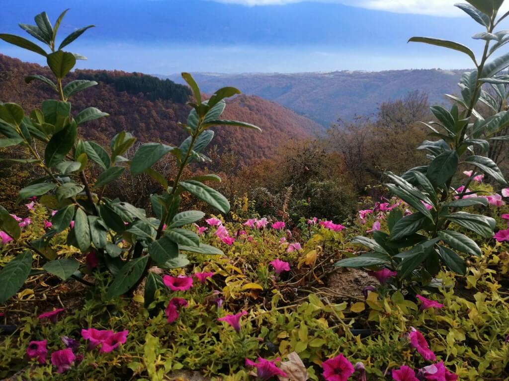 Изглед към Огражден планина над цветните лехи в село Долене