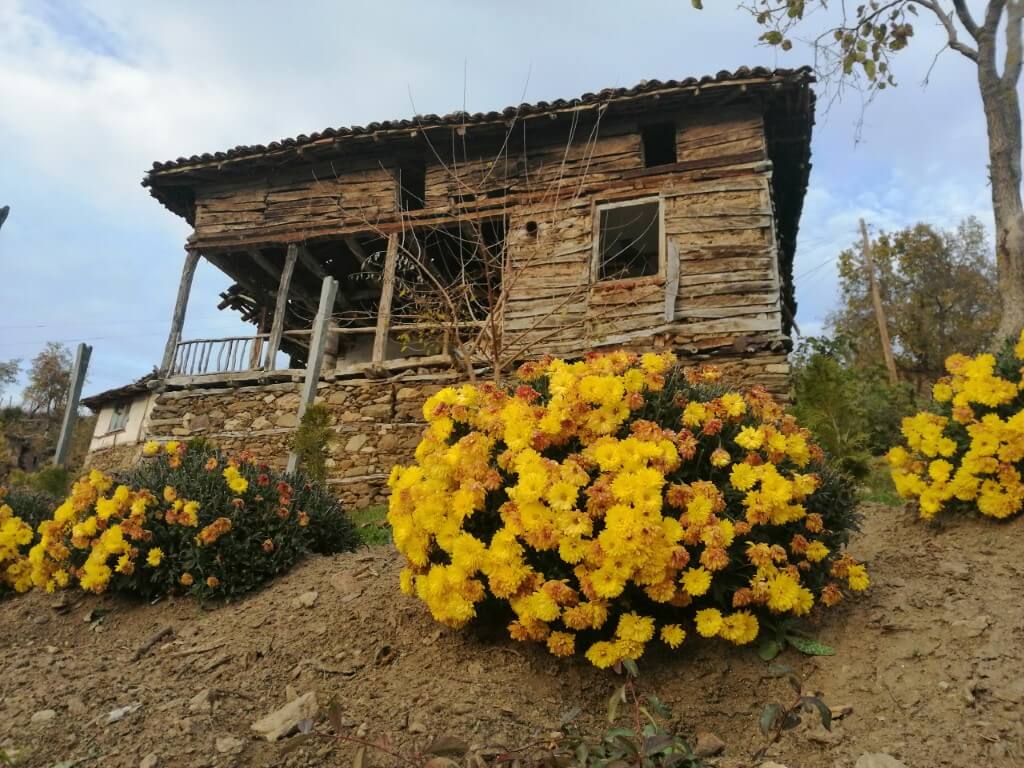 Стара кирпичена къща с красиви цветя отпред в село Долене